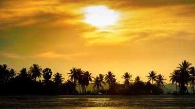 Hindistan cevizi palmiye ağaçları sahilde günbatımı zaman kontrast. Tayland tatil yaz