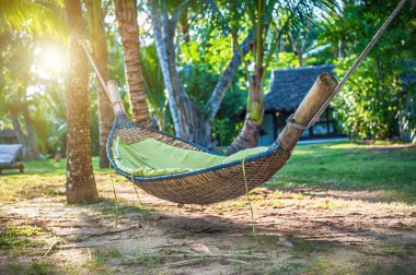 Hamak tropikal egzotik plaj arka plan adlı iki palmiye ağaçları arasında. Paradise Tatil Tayland