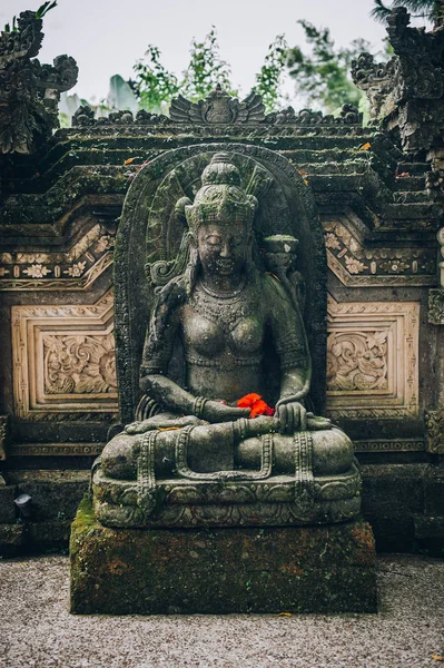 Vértes Portréja Hagyományos Templomok Amelyek Bizonyítják Befolyásolja Hindu Buddhista Kultúrájáról — Stock Fotó