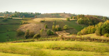 Güneşli günde ağaçlarıyla çevrili yeşil çayır üzerinde pastoral kırsal panorama