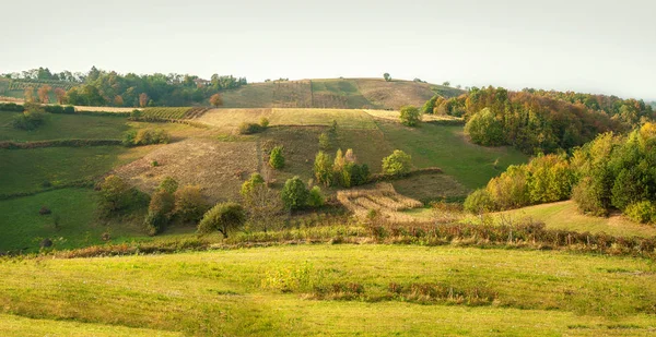 Idylliska Landsbygden Panorama Grön Äng Omgivet Träd Solig Dag — Stockfoto