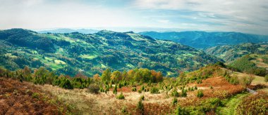 Güneşli günde ağaçlarıyla çevrili yeşil çayır üzerinde pastoral kırsal panorama