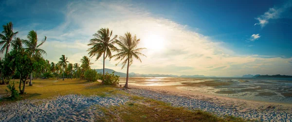 Landscape Scenery Beautiful Tropical Island Green Palm Trees Beach Blue — Stock Photo, Image