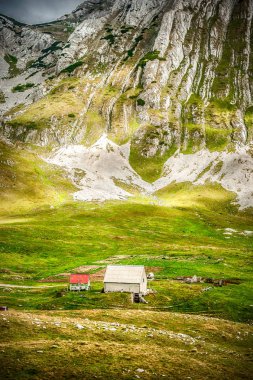 Geleneksel ahşap çoban dramatik mavi gökyüzü, doğal yabani hayvanlar ve bitkiler manzara ile güzel yeşil mera ile dağlarda yazlık
