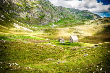 Geleneksel ahşap çoban dramatik mavi gökyüzü, doğal yabani hayvanlar ve bitkiler manzara ile güzel yeşil mera ile dağlarda yazlık