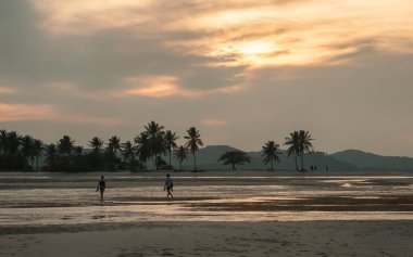 Güzel palmiye ağacı ve beyaz kum ile pastoral tropikal plaj