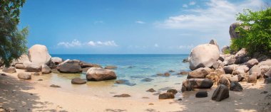 Pastoral tropikal plaj, palmiye, altın kum ve kristal berraklığında wate