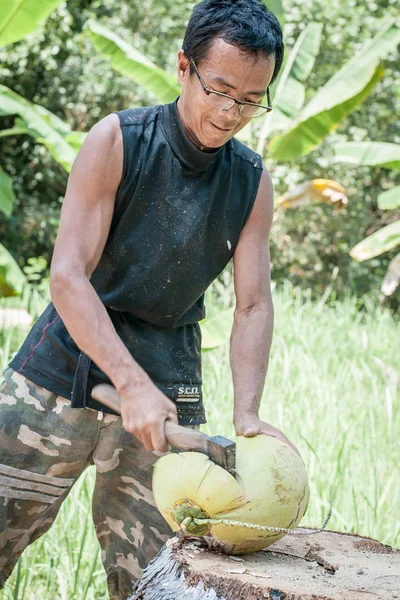 泰国男子在丛林中剥下新鲜的椰子 — 图库照片