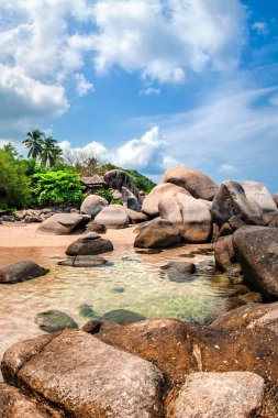 Pastoral tropikal plaj, palmiye, beyaz kum ve kristal berraklığında su