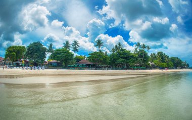 Pastoral tropikal plaj, palmiye, beyaz kum ve kristal berraklığında su