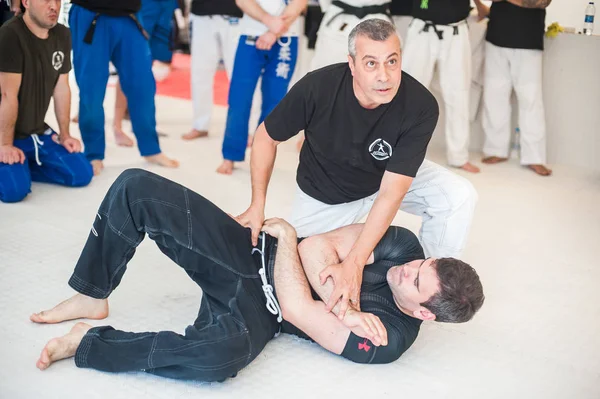 Kapap Krav Maga instructor Avi Nardia demonstrates escrima stick-fighting –  Stock Editorial Photo © guruxox #315081816