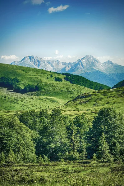 Panoramatický pohled na nádherný horský hřeben s vysokými skalnatými vrcholky — Stock fotografie
