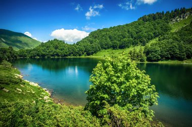 Kristal berraklığında göl ile güzel dağ panoramik görünümü