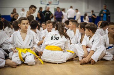 Çocuklar ve çocuk dövüş sanatları spor gösteri. Kyokushin olmak
