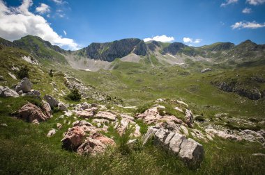 Güzel dağ manzarası, çiçek açan çayırlar ve dağ zirveleri.
