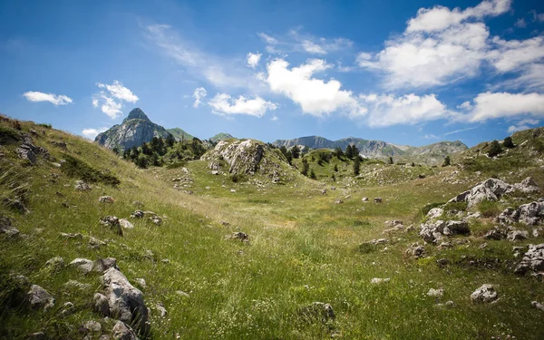 Güzel dağ manzarası, çiçek açan çayırlar ve dağ zirveleri. — Stok fotoğraf
