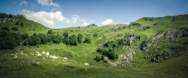 Taze yeşil çayırlarla pastoral dağ manzarasının panoramik manzarası — Stok fotoğraf