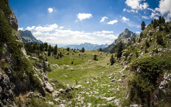 Beautiful view of mountain scenery, blooming meadows and mountain peaks Stock Picture