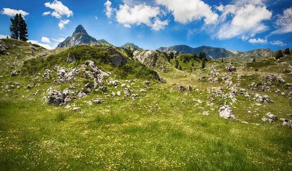 Bela vista da paisagem da montanha, prados floridos e picos de montanha — Fotografia de Stock