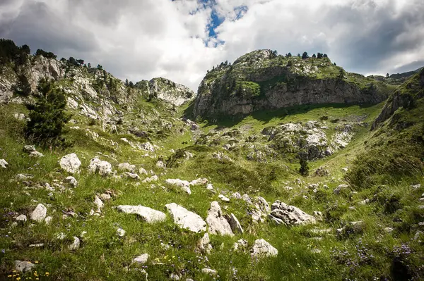 Güzel dağ manzarası, çiçek açan çayırlar ve dağ zirveleri. — Stok fotoğraf