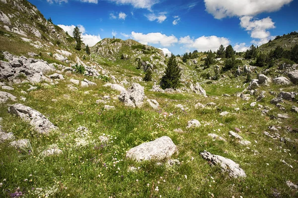 Piękny widok na górskie krajobrazy, kwitnące łąki i szczyty górskie — Zdjęcie stockowe