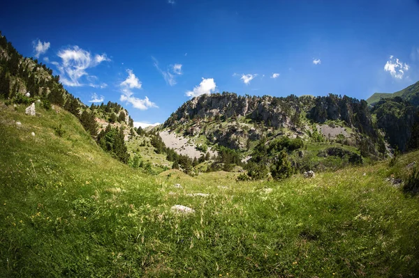Güzel dağ manzarası, çiçek açan çayırlar ve dağ zirveleri. — Stok fotoğraf