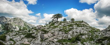 Dağ sırasının tepesinde kocaman taşlar olan çayır.