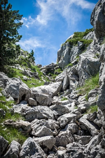 Dağ sırasının tepesinde kocaman taşlar olan çayır. — Stok fotoğraf