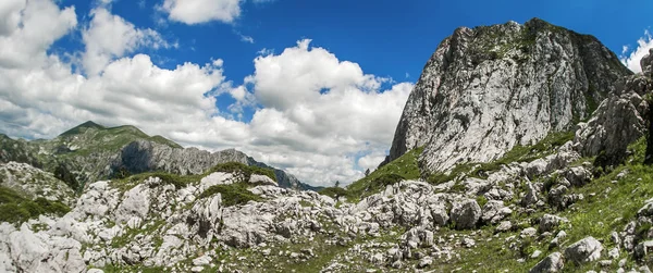 Dağ sırasının tepesinde kocaman taşlar olan çayır. — Stok fotoğraf