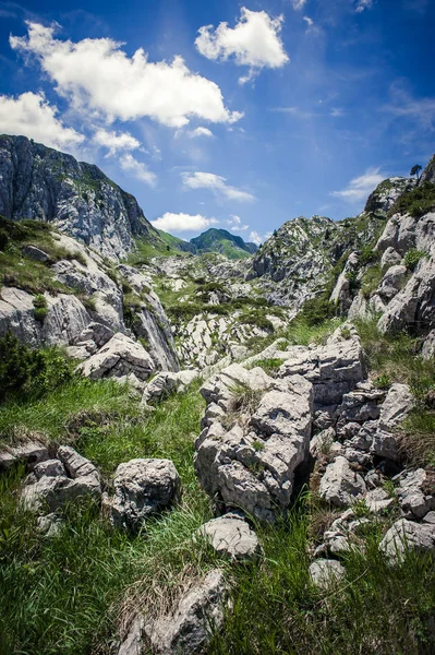 Dağ sırasının tepesinde kocaman taşlar olan çayır. — Stok fotoğraf