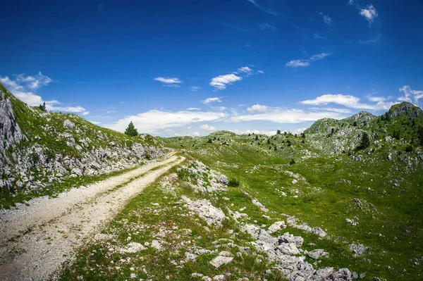 Dağ sırasının tepesinde kocaman taşlar olan çayır. — Stok fotoğraf