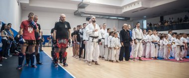 Farklı dövüş sanatları sanatçıları dövüş tekniklerini gösterirler.