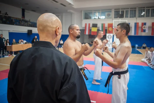 Diversi tipi di arti marziali artista dimostrano tecnica di combattimento — Foto Stock