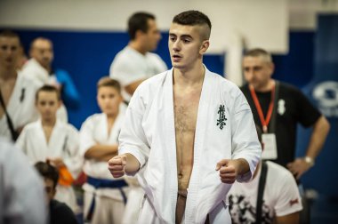Uluslararası Yetişkin Karate Kyokushin Yarışması Belgrad Kupa Turnuvası