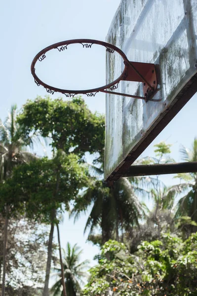 Vecchio Cerchio Basket Grunge Rustico Nell Ambiente Selvaggio Foresta Tropicale — Foto Stock