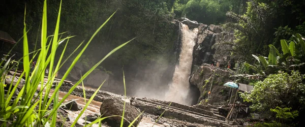 热带丛林雨林中隐藏着奇异的风景瀑布 印度尼西亚巴厘 — 图库照片