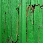 Vieja puerta de madera verde