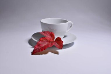 beyaz fincan sıcak çay ve akçaağaç yaprağı