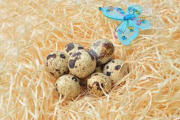 Перепелиные Яйца Гнезде Сена Крупным Планом — стоковое фото