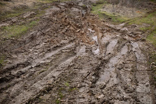 Weg Uit Modder Het Bos — Stockfoto