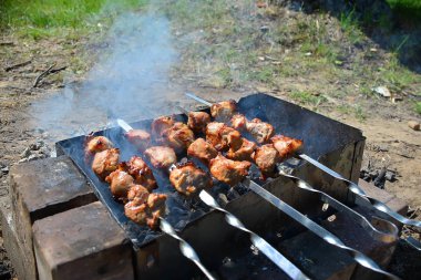 kebaplar bahar parkı yapma, yakın