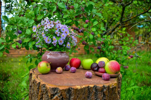 Beautiful flowers, apples and plums in garden