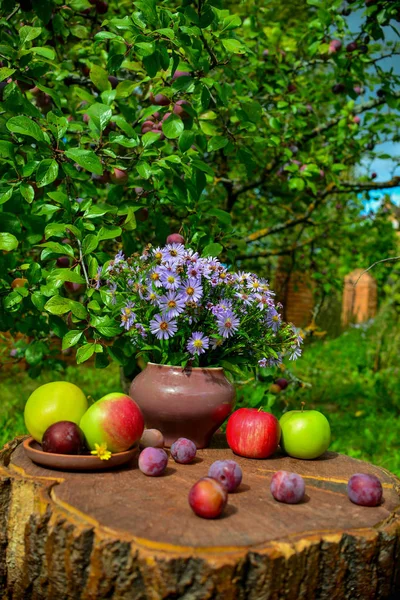 Krásné Květiny Jablka Švestky Zahradě — Stock fotografie