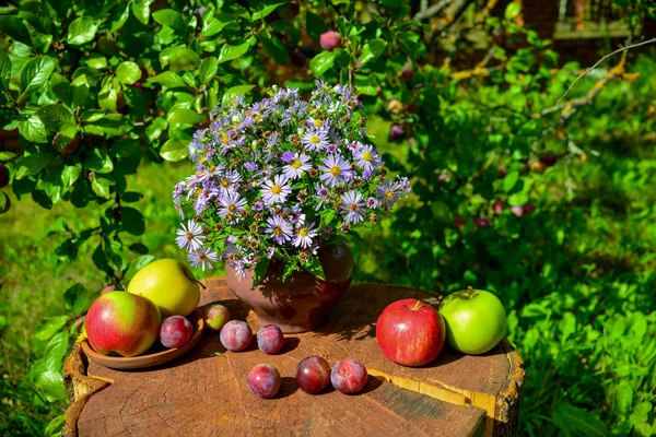 Vackra Blommor Äpplen Och Plommon Trädgården — Gratis stockfoto