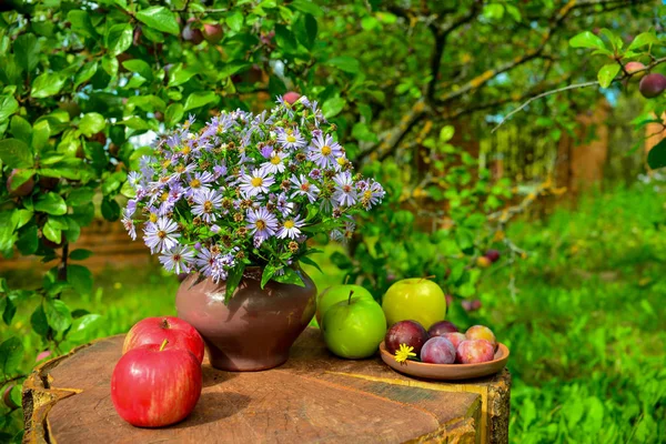 Mooie Bloemen Appels Pruimen Tuin — Stockfoto