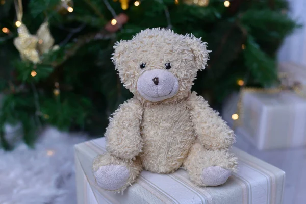 Teddy Bear Front Christmas Tree — Stock Photo, Image