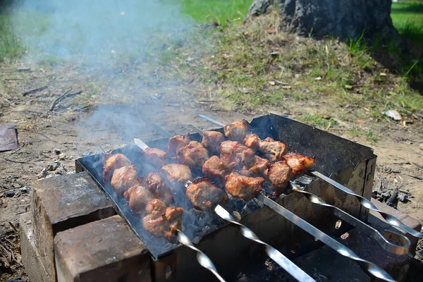 Making Kebabs Spring Park Close — Stock Photo, Image