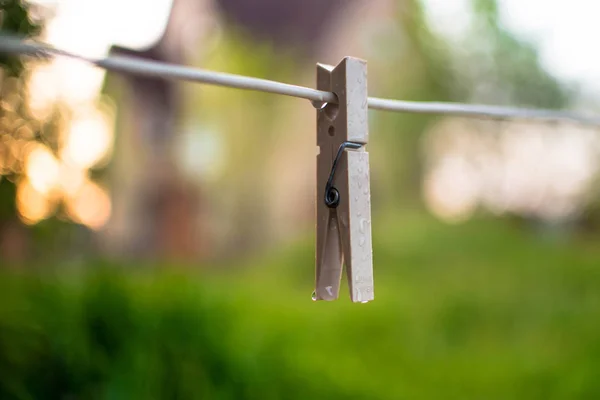 one wooden  peg on cloth line