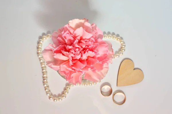 Pink Carnation Heart Close — Stock Photo, Image