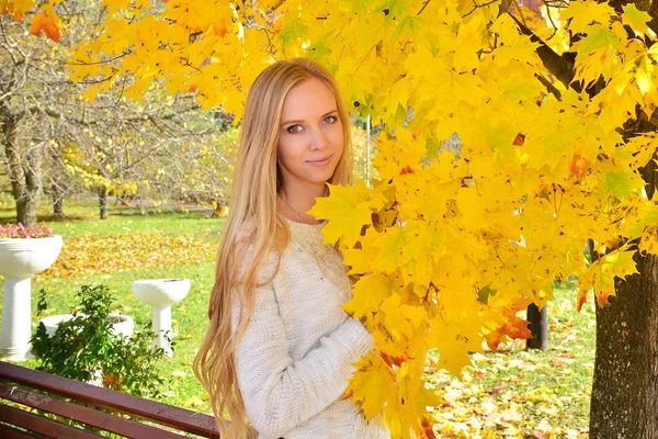 Krásná Dívka Pózuje Podzimním Parku — Stock fotografie